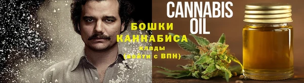 2c-b Богородицк