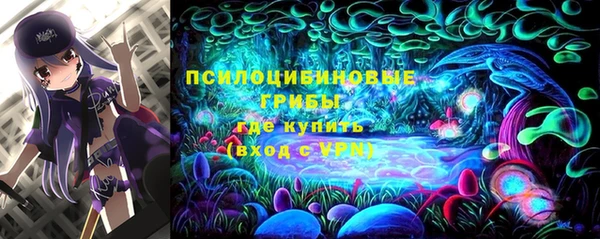 хмурый Богородск