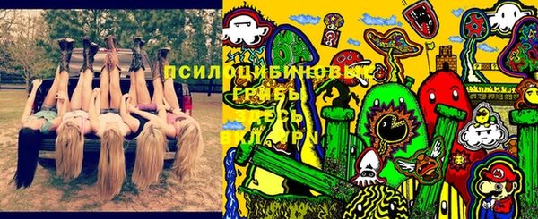 2c-b Богородицк