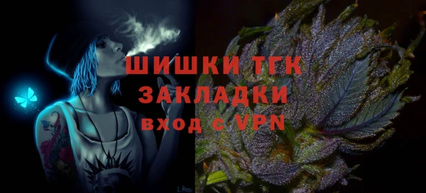 2c-b Богородицк