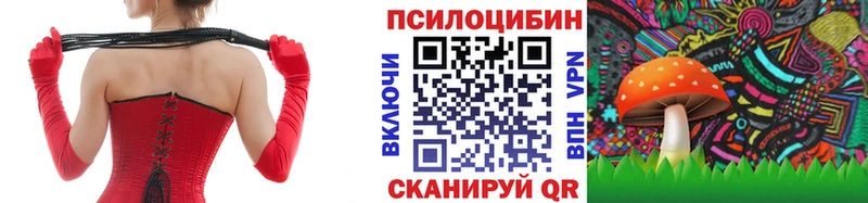 где купить   Верхняя Тура  Псилоцибиновые грибы MAGIC MUSHROOMS 